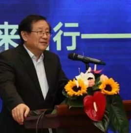 政协副主席万钢：燃料汽车可补电动汽车短板