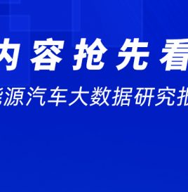 【中国新能源汽车大数据研究报告2022】内容抢先看 年中会期间重磅发布